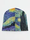 Детская шапка / Ван Гог - Deal with it