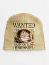 Детская шапка / Манки Д. Луффи в розыске One Piece