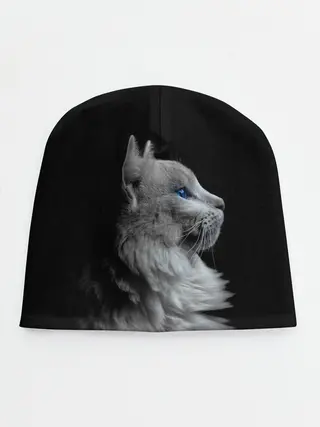 Детская шапка / Голубоглазый гот