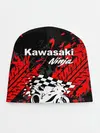 Детская шапка / KAWASAKI NINJA / КАВАСАКИ
