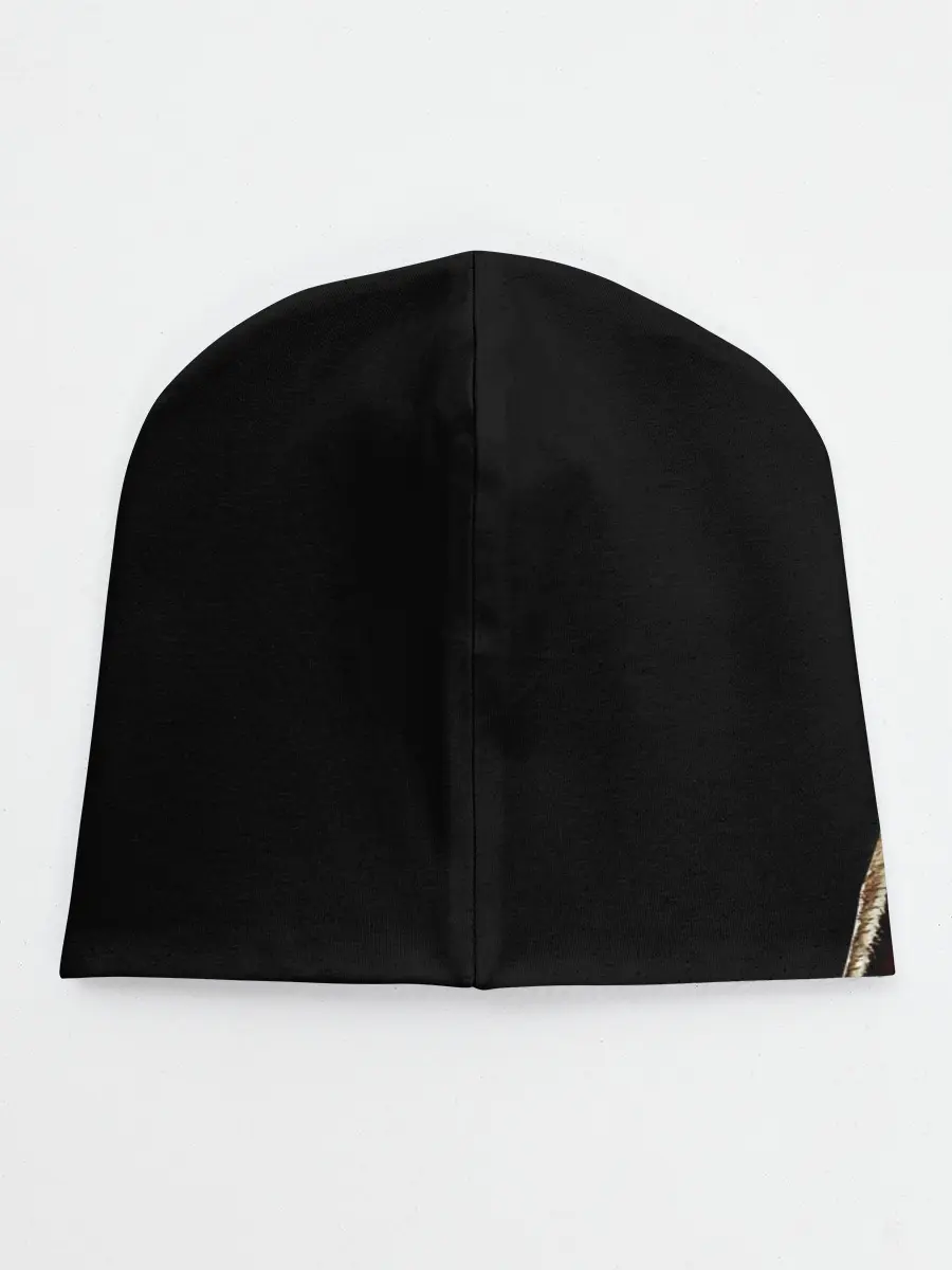 Детская шапка / MOONS OF MADNESS