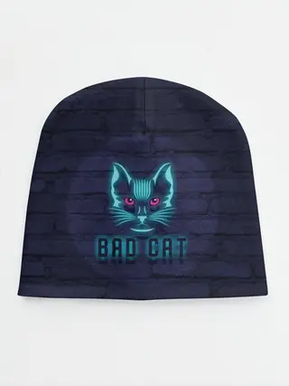 Детская шапка / Bad cat