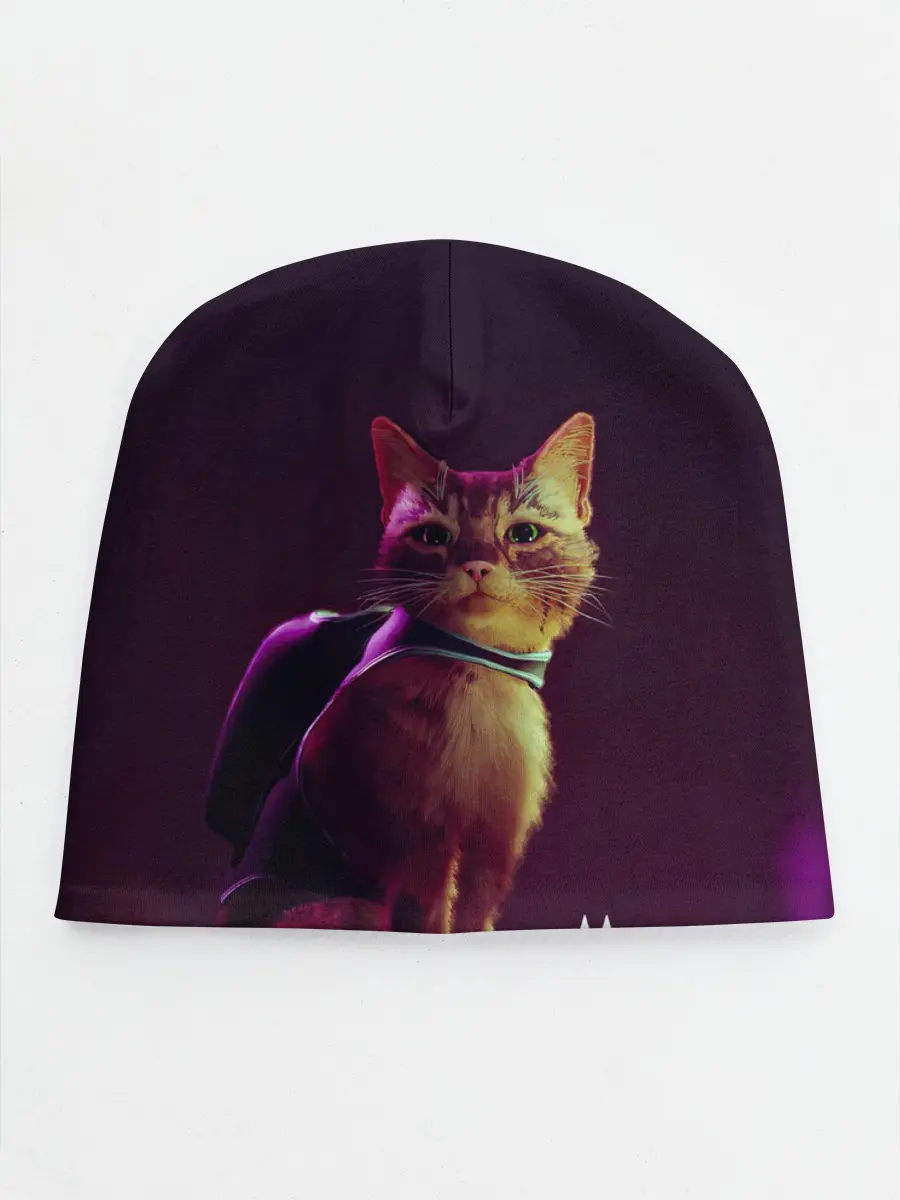 Детская шапка / Stray Game 2021