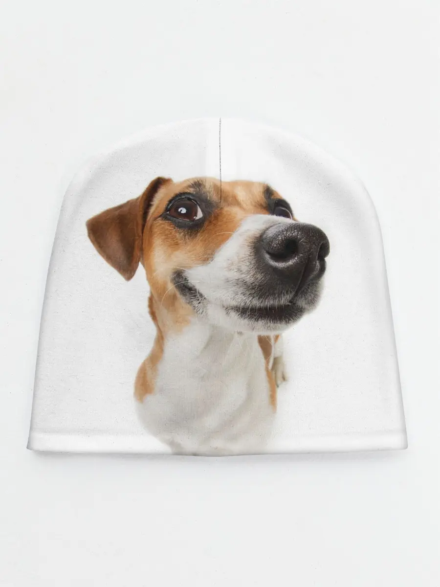 Детская шапка / Собака