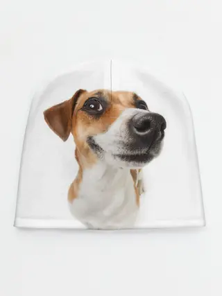 Детская шапка / Собака