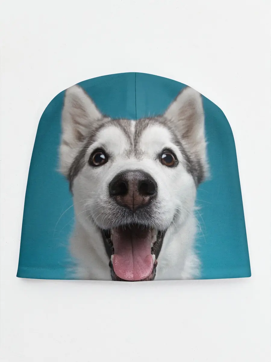 Детская шапка / Хаски