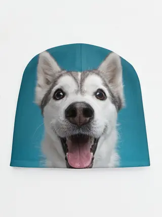 Детская шапка / Хаски