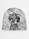 Детская шапка / Junk Ride