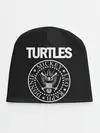 Детская шапка / Ramones x TMNT