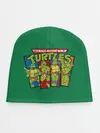 Детская шапка / Черепашья сила