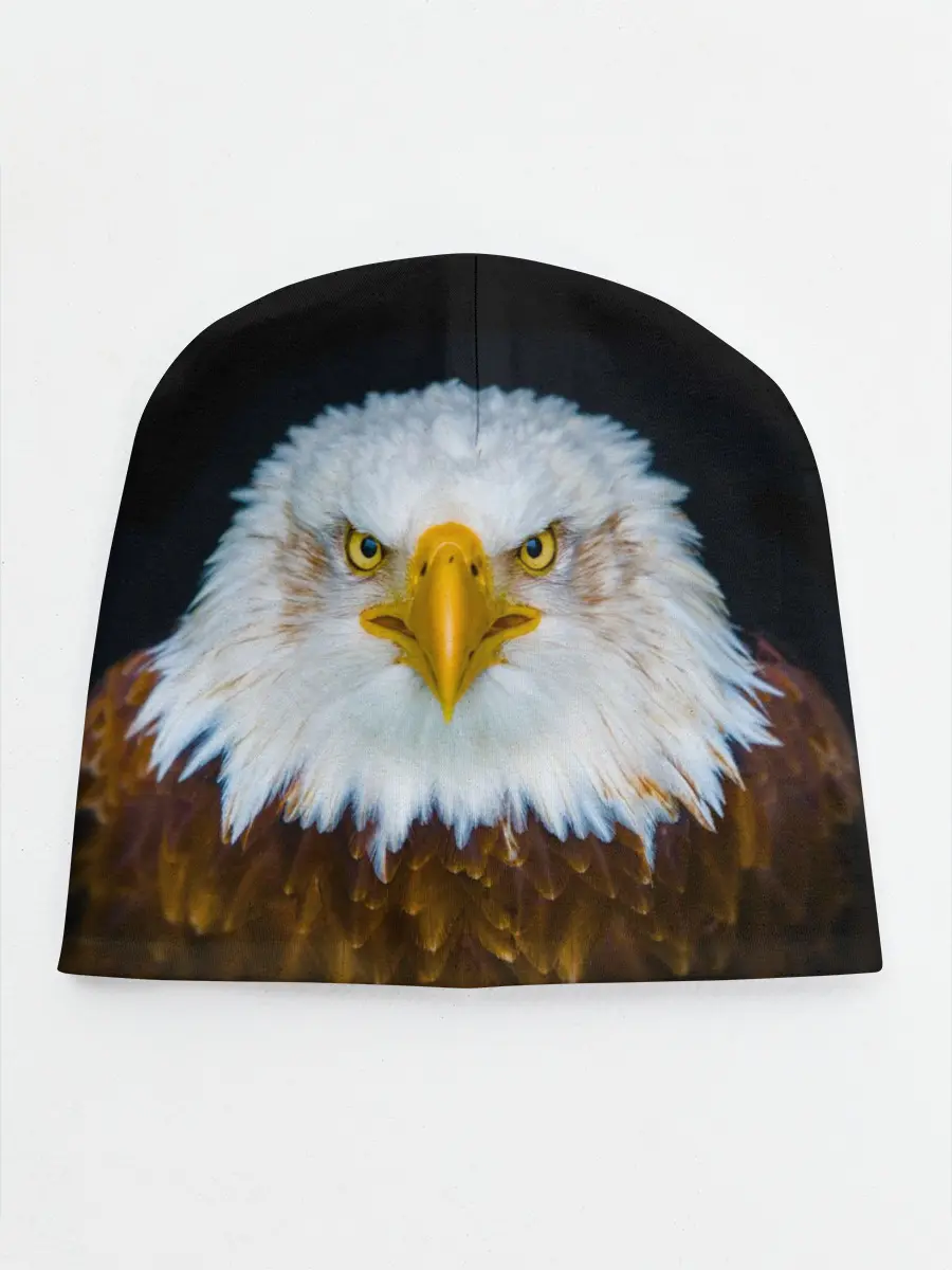 Детская шапка / Белоголовый орлан