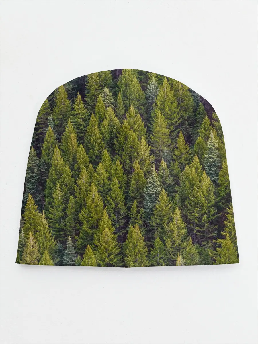 Детская шапка / лес вечный