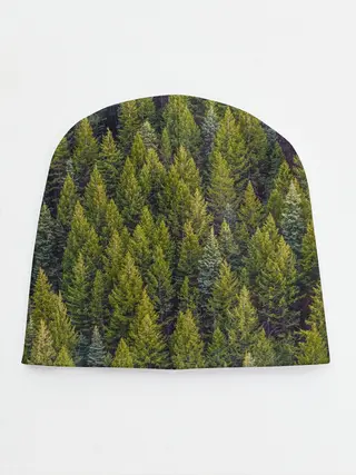 Детская шапка / лес вечный