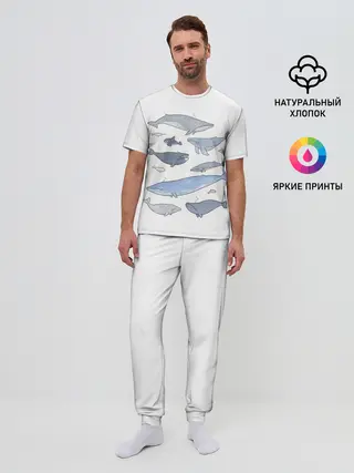 Мужская пижама с брюками / киты