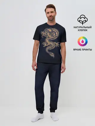 Мужская пижама с брюками / Дракон