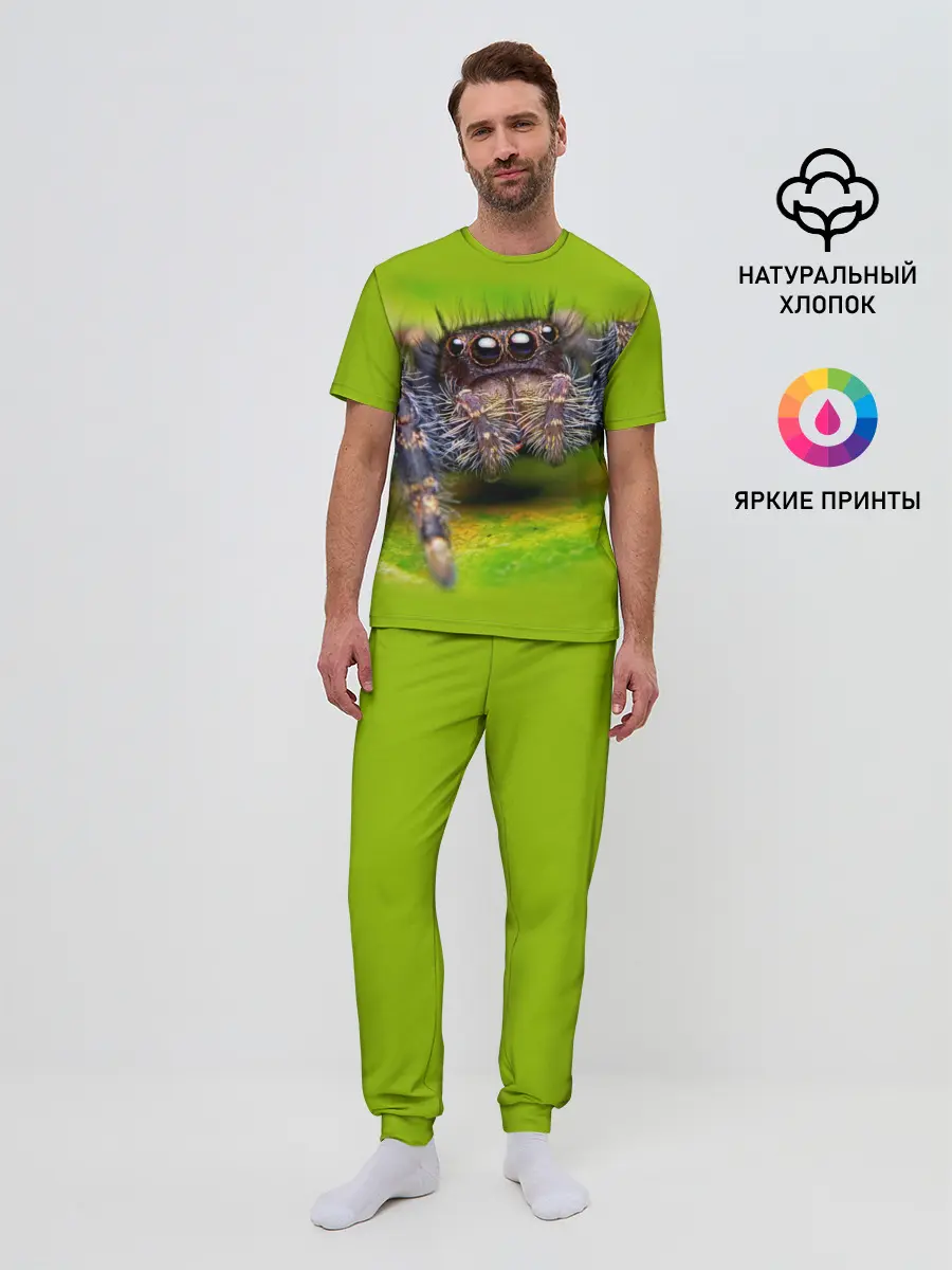 Мужская пижама с брюками / ПАУК МАКРО
