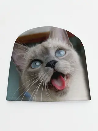 Детская шапка / Сиамский котенок
