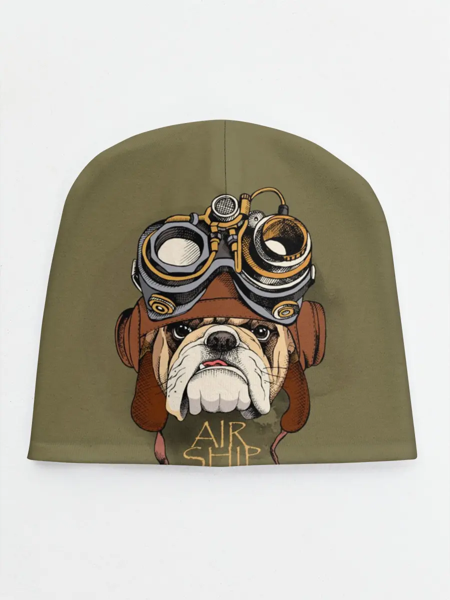 Детская шапка / Air ship pilot