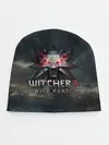 Детская шапка / The Witcher 3: Wild Hunt