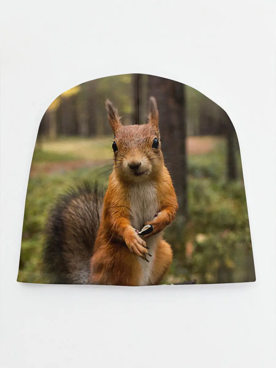 Детская шапка / Белочка