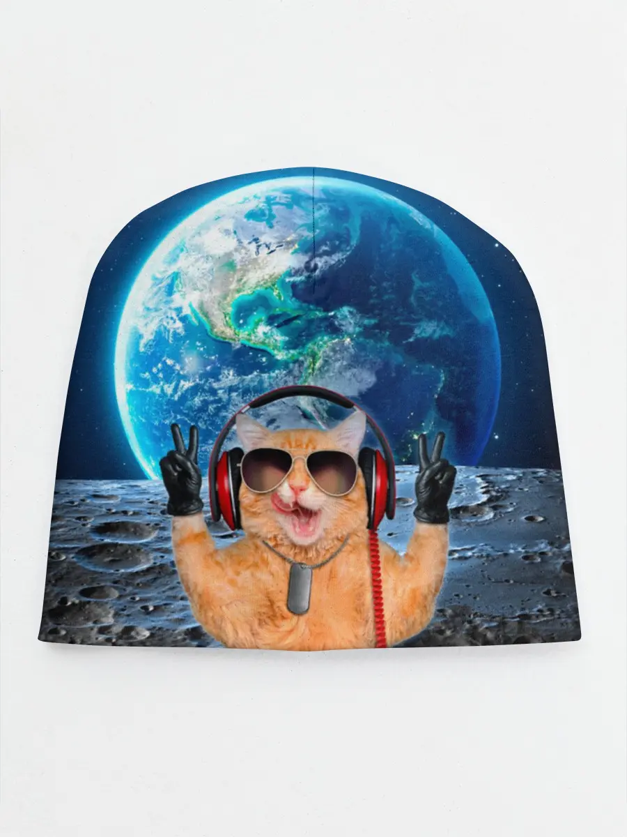 Детская шапка / Кот на луне