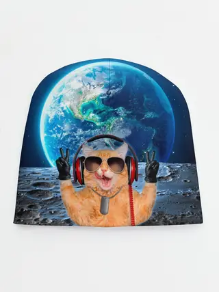 Детская шапка / Кот на луне