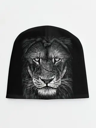 Детская шапка / Lion Art