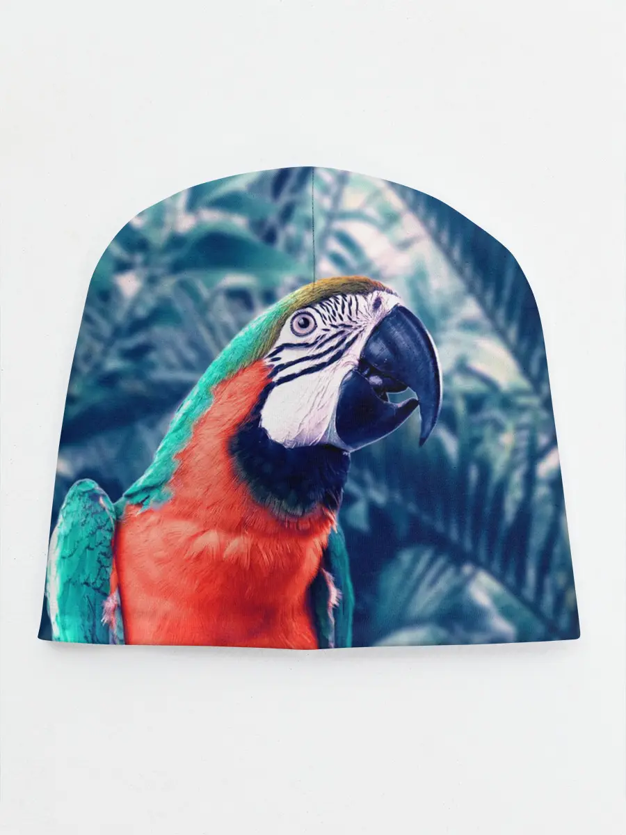 Детская шапка / Попугай
