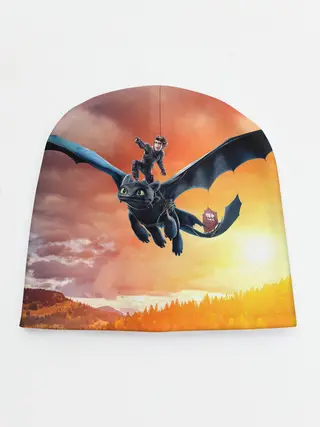 Детская шапка / Night Fury