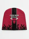 Детская шапка / CHICAGO BULLS