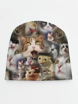 Детская шапка / Те самые коты