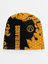 Детская шапка / BORDERLANDS