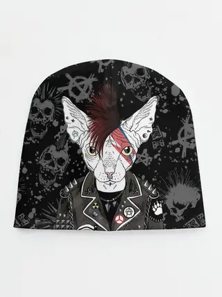 Детская шапка / Кот в косухе