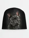 Детская шапка / Французский бульдог