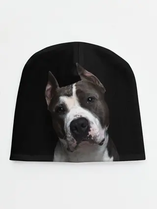 Детская шапка / Американский питбуль