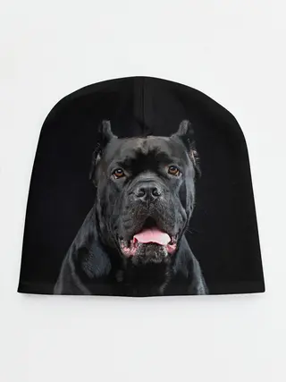 Детская шапка / Черный кан - корсо