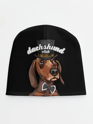 Детская шапка / Такса в цилиндре