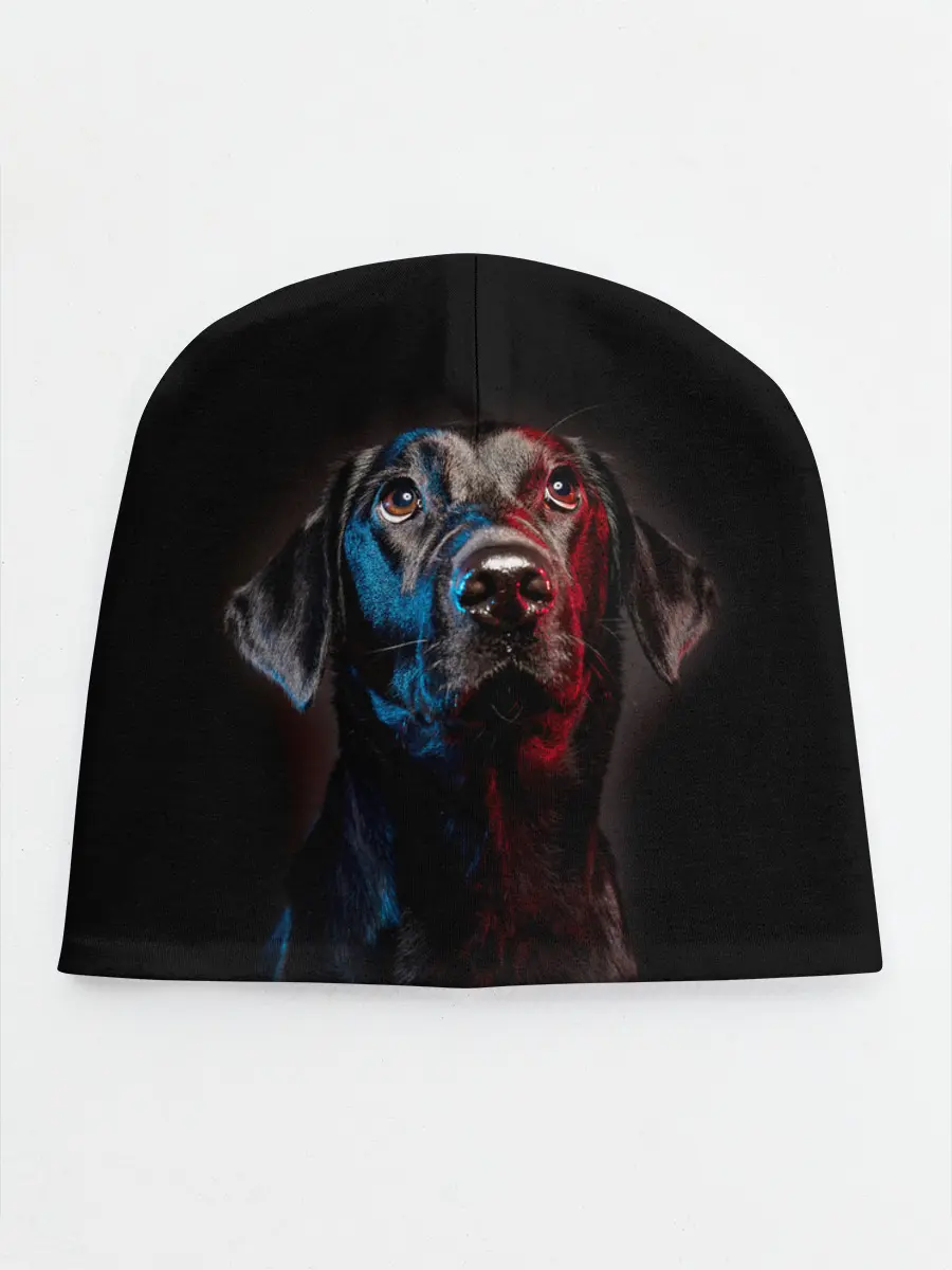 Детская шапка / Чёрный лабрадор