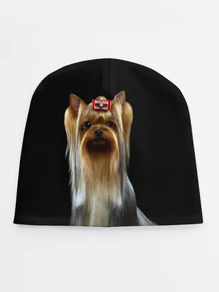 Детская шапка / Йоркширский терьер