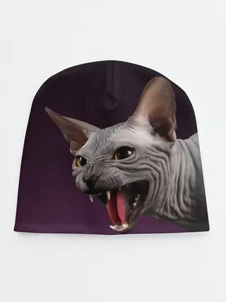 Детская шапка / Сфинкс