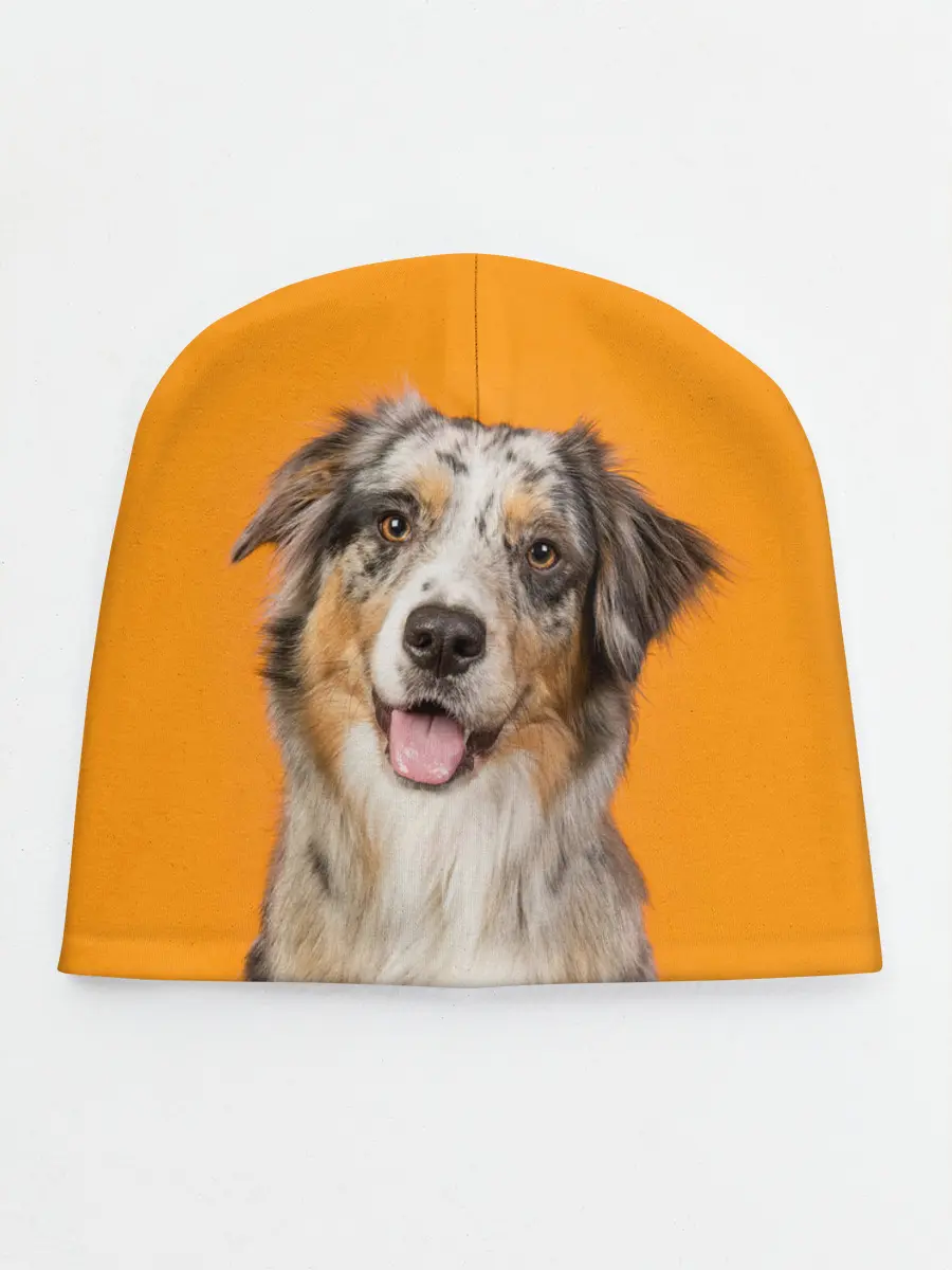 Детская шапка / Австралийская овчарка