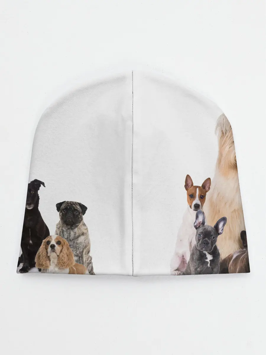 Детская шапка / Породистые собаки