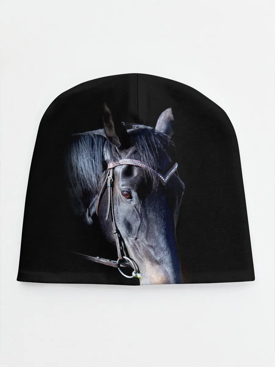 Детская шапка / Конь вороной