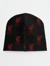 Детская шапка / Liverpool