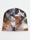 Детская шапка / Много котов