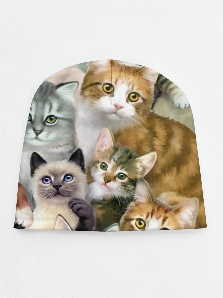 Детская шапка / Котишики