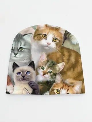 Детская шапка / Котишики