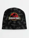 Детская шапка / Парк Юрского Периода