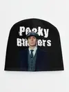 Детская шапка / Peaky Blinders