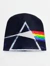 Детская шапка / PINK FLOYD